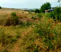 Снимка 4 — Парцел в Перник, Кошаревска махала