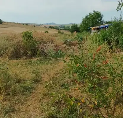 Снимка 4 — Парцел в Перник, Кошаревска махала