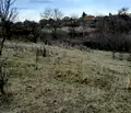 Снимка 2 — Парцел в Монтана, Кошарник