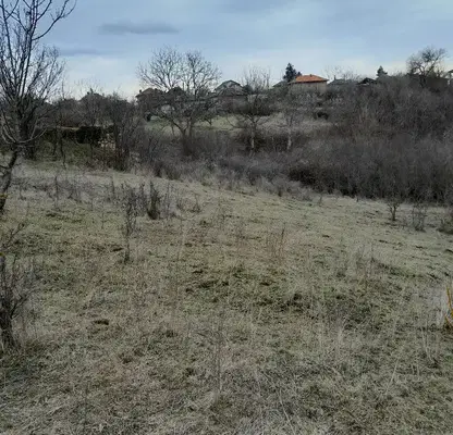 Снимка 2 — Парцел в Монтана, Кошарник