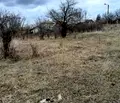 Снимка 3 — Парцел в Монтана, Кошарник