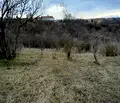 Снимка 4 — Парцел в Монтана, Кошарник