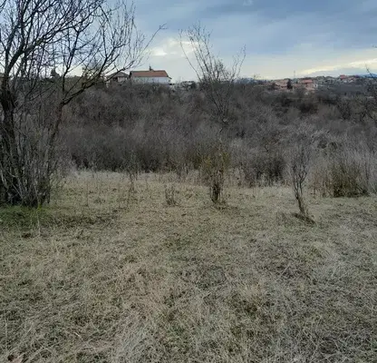 Снимка 4 — Парцел в Монтана, Кошарник