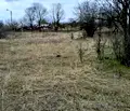 Снимка 5 — Парцел в Монтана, Кошарник