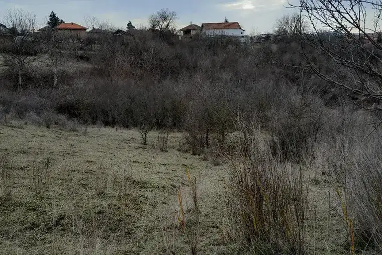 Парцел в Монтана, Кошарник