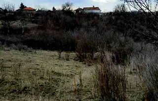 Парцел в Монтана, Кошарник