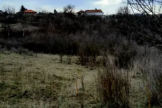 Парцел в Монтана, Кошарник