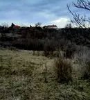 Парцел в Монтана, Кошарник