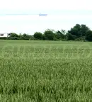 Парцел в Бургас, Крайморие