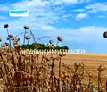 Снимка 5 — Парцел в Бургас, Крайморие