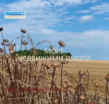 Снимка 5 — Парцел в Бургас, Крайморие
