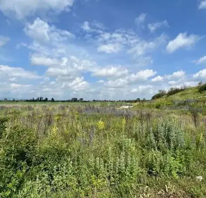 Photo 5 — Plot in Sofiya, Triygylnika