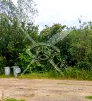 Парцел в София, Кръстова вада