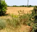 Снимка 2 — Парцел в Пловдив, Кършияка