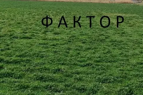 Парцел в Пловдив, Кършияка