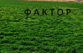 Парцел в Пловдив, Кършияка