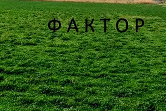 Парцел в Пловдив, Кършияка