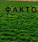 Парцел в Пловдив, Кършияка