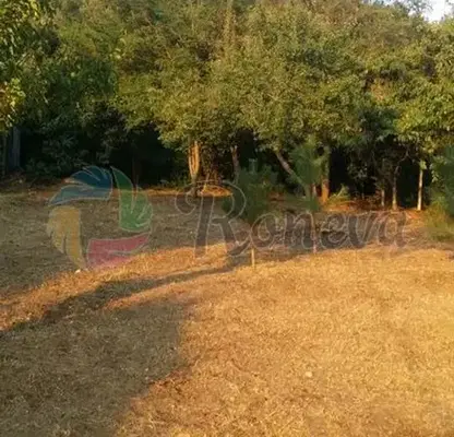 Photo 2 — Plot in Varna, Akchelar
