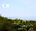 Снимка 5 — Парцел във Варна, м-т Ален мак