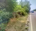Снимка 4 — Парцел във Варна, м-т Ален мак