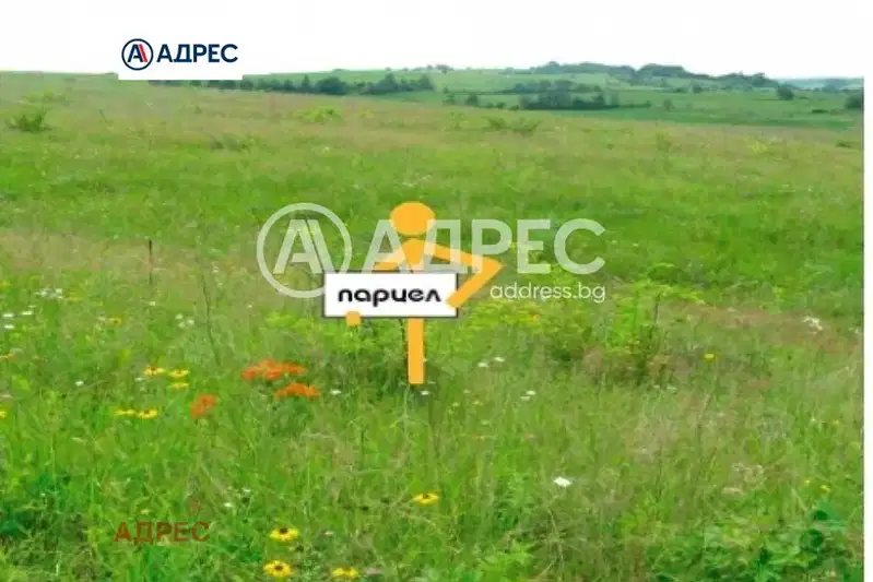 Plot in Varna, Alen Mak
