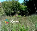 Снимка 2 — Парцел във Варна, м-т Ален мак