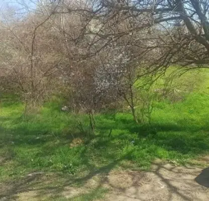Photo 2 — Plot in Varna, Balam Dere