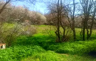 Парцел във Варна, м-т Балам Дере