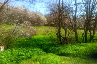 Парцел във Варна, м-т Балам Дере