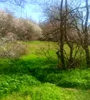 Парцел във Варна, м-т Балам Дере