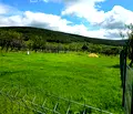 Снимка 2 — Парцел в Стара Загора, м-т Беш Бунар