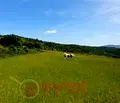 Снимка 3 — Парцел в Стара Загора, м-т Беш Бунар