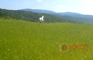 Парцел в Стара Загора, м-т Беш Бунар