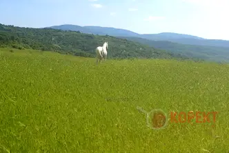 Парцел в Стара Загора, м-т Беш Бунар