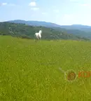 Парцел в Стара Загора, м-т Беш Бунар