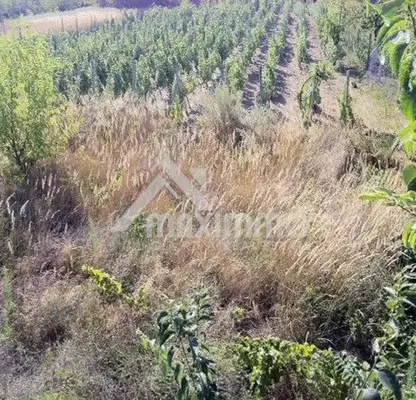Photo 4 — Plot in Varna, Borovec - Sever