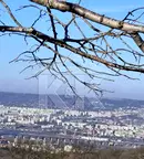 Парцел във Варна, м-т Боровец - север