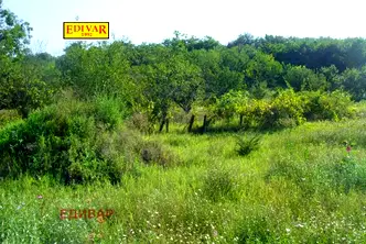 Парцел във Варна, м-т Боровец - север
