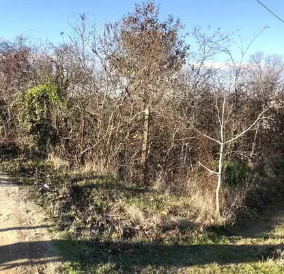 Photo 5 — Plot in Varna, Borovec - Sever