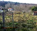 Снимка 5 — Парцел във Варна, м-т Боровец - север