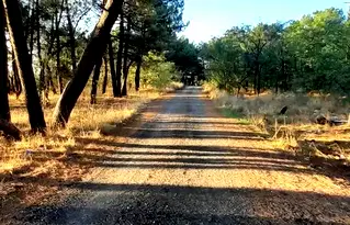Парцел във Варна, м-т Боровец - север