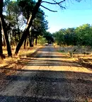Парцел във Варна, м-т Боровец - север