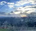 Снимка 5 — Парцел във Варна, м-т Боровец - юг