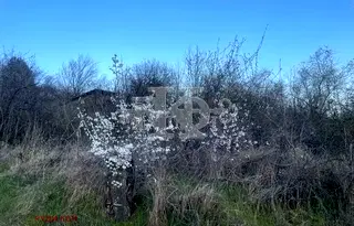 Парцел във Варна, м-т Боровец - юг