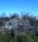 Парцел във Варна, м-т Боровец - юг