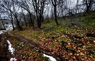 Парцел във Варна, м-т Боровец - юг