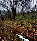Парцел във Варна, м-т Боровец - юг