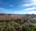 Снимка 2 — Парцел във Варна, м-т Боровец - юг