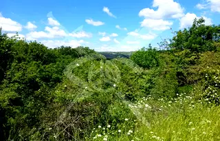 Парцел във Варна, м-т Боровец - юг